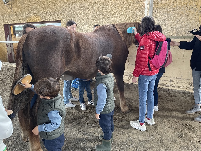 Voluntariado de hípica con la Fundación Down