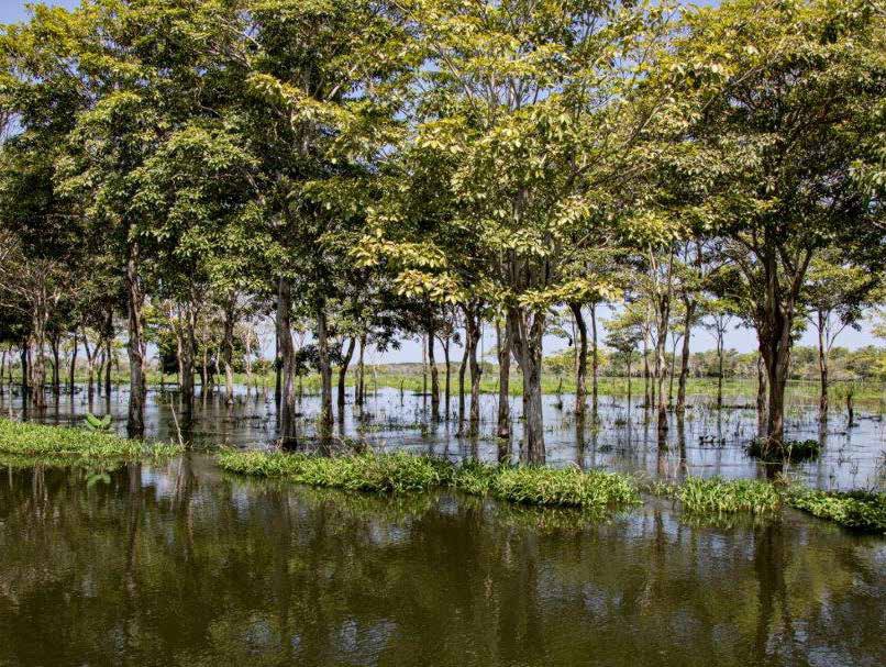 LAGON Tablero de vidrio transparente - Habitat